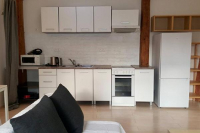 Beautiful, quiet apartment at the heart of Brno Brno